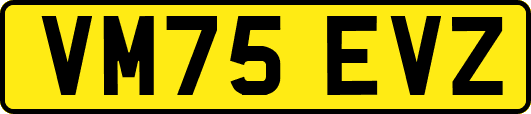 VM75EVZ