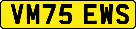 VM75EWS