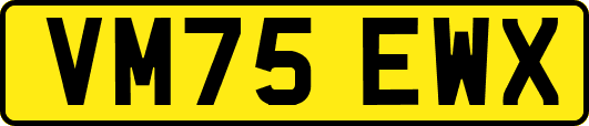 VM75EWX