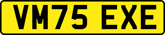 VM75EXE