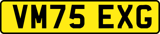VM75EXG