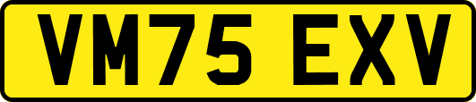 VM75EXV
