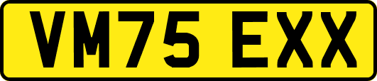 VM75EXX