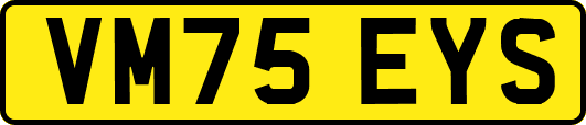 VM75EYS