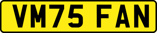 VM75FAN