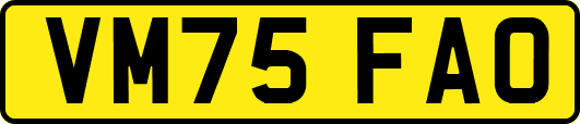 VM75FAO