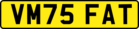 VM75FAT