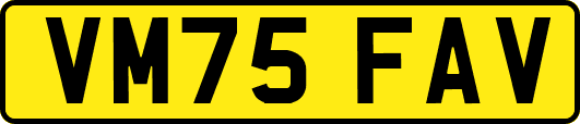 VM75FAV