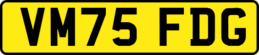VM75FDG
