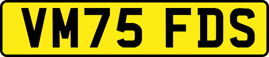 VM75FDS