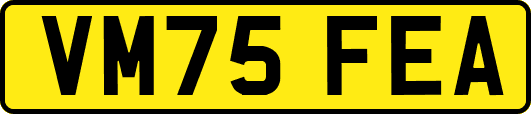 VM75FEA