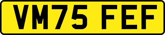 VM75FEF