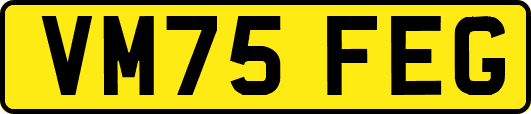 VM75FEG