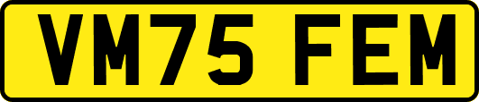 VM75FEM