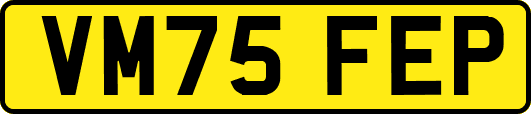 VM75FEP