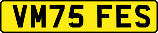 VM75FES