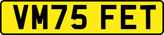 VM75FET