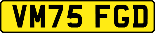 VM75FGD
