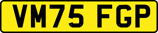 VM75FGP