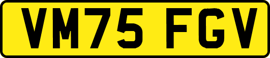 VM75FGV