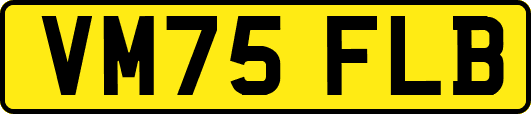 VM75FLB