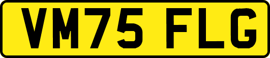 VM75FLG