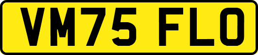 VM75FLO