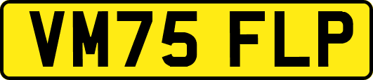 VM75FLP