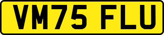 VM75FLU