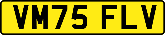 VM75FLV