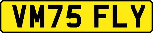 VM75FLY