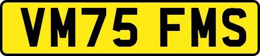 VM75FMS