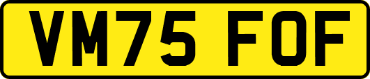 VM75FOF