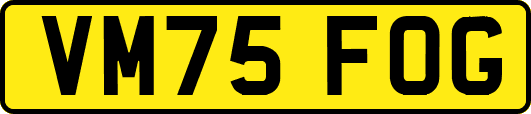 VM75FOG