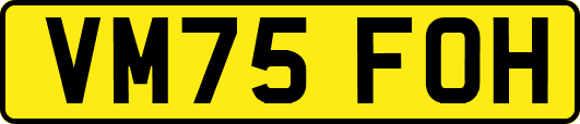 VM75FOH