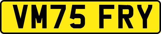 VM75FRY