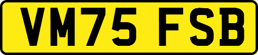 VM75FSB