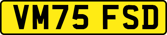 VM75FSD