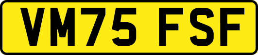 VM75FSF