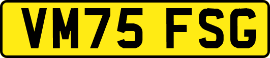 VM75FSG
