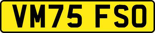 VM75FSO
