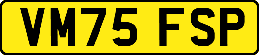 VM75FSP