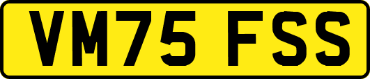 VM75FSS