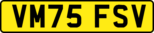 VM75FSV