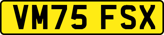 VM75FSX