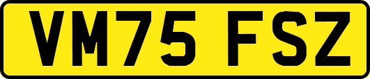 VM75FSZ