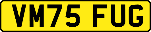 VM75FUG