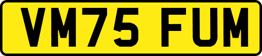VM75FUM