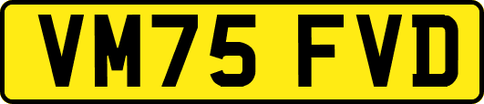 VM75FVD