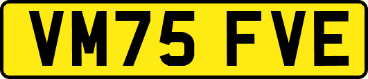 VM75FVE